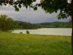 2013-05-19_Iffeldorf_Aiderbichl (74).JPG